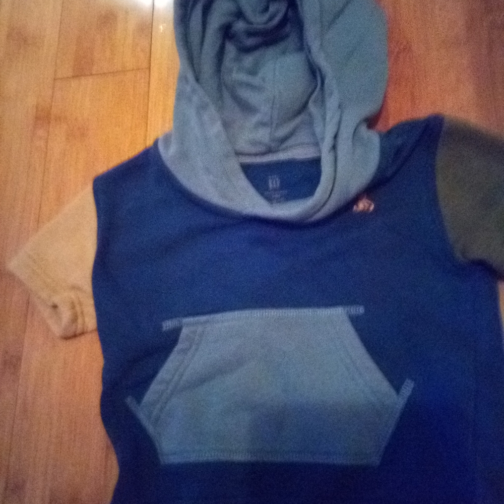 GAP Kids Blue and Olive Hooded Sweatshirt